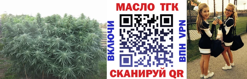 Дистиллят ТГК концентрат  Чернушка 